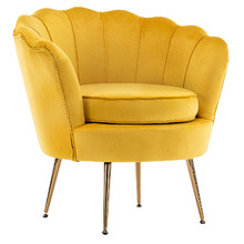 2 Piece Shanaya Velvet Armchair & Ottoman Set